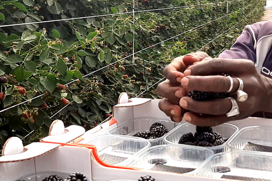 Everyone is an alien somewhere: Coltiviamo speranza